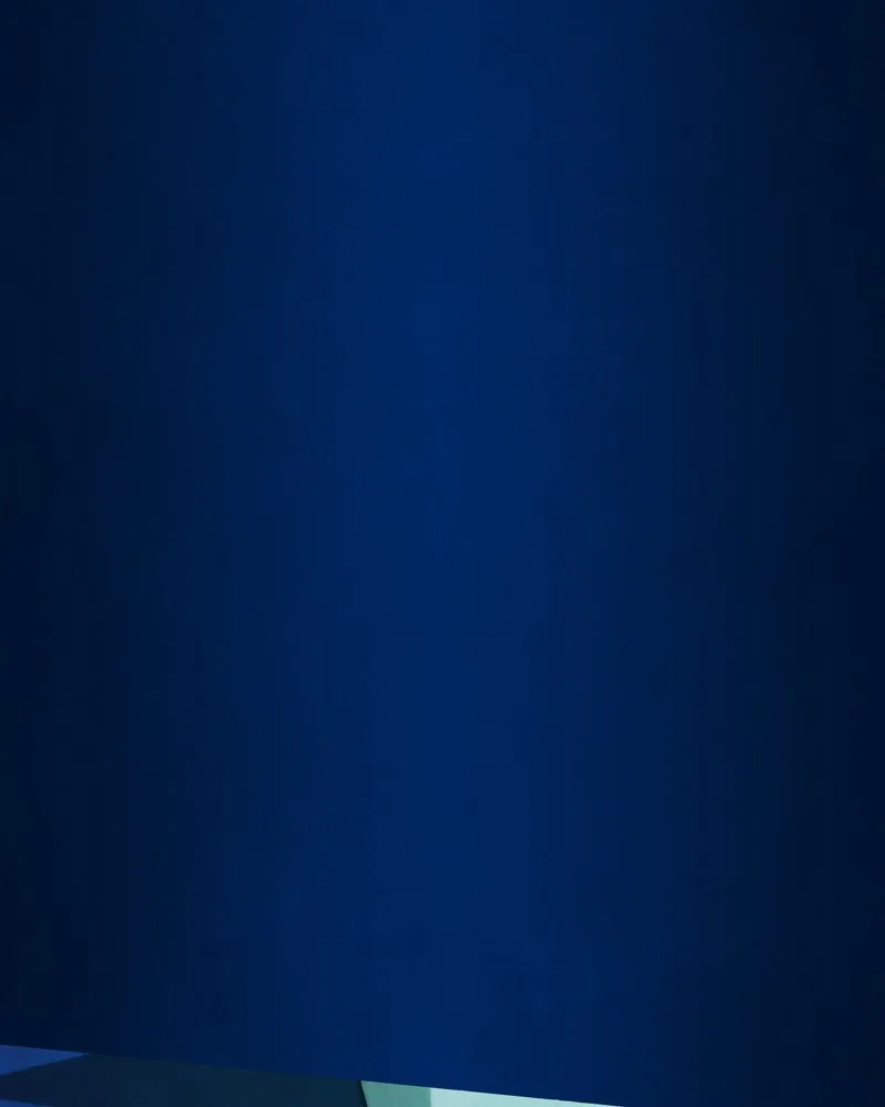 City of Blank Chapter 62 page 112 - 