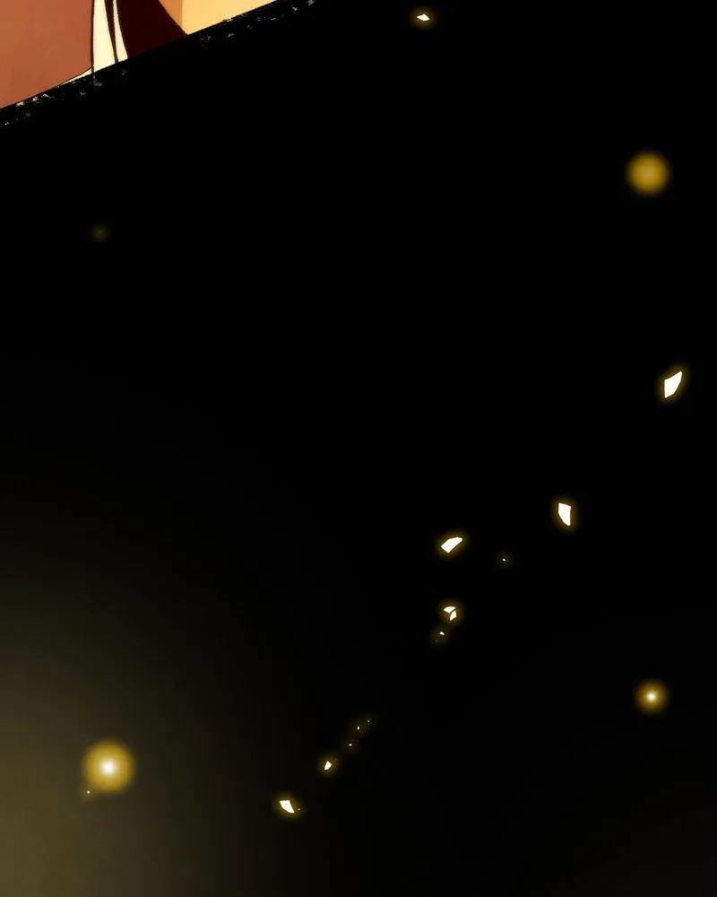 City of Blank Chapter 63 page 101 - 