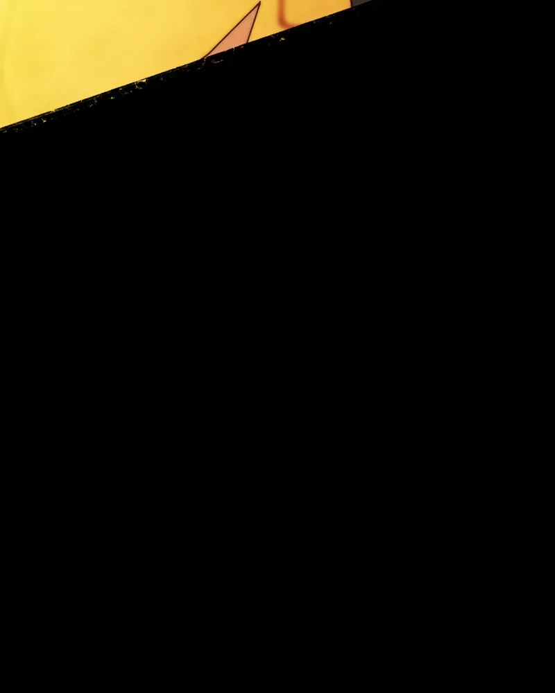 City of Blank Chapter 63 page 77 - 