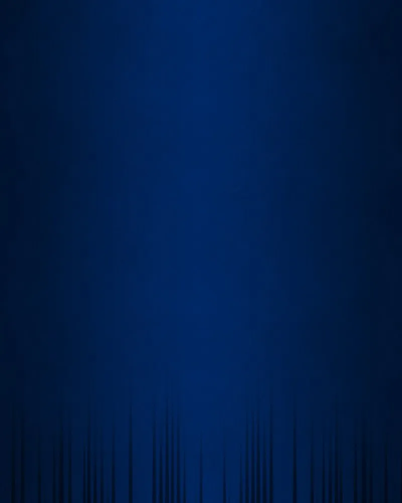 City of Blank Chapter 64 page 83 - 