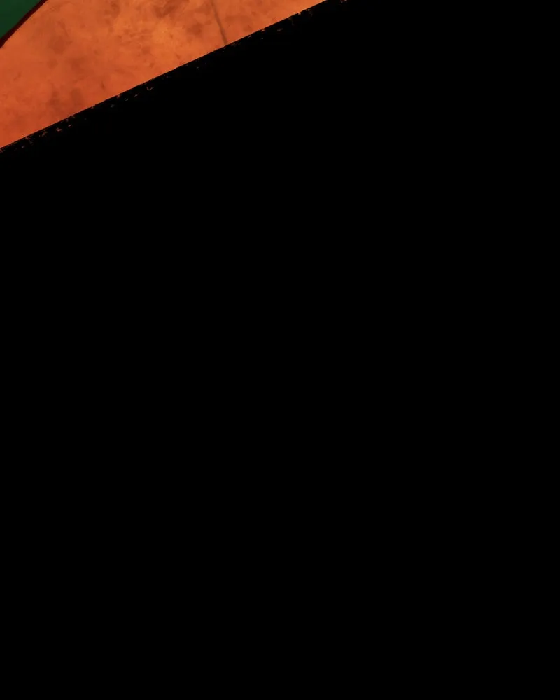 City of Blank Chapter 64 page 98 - 
