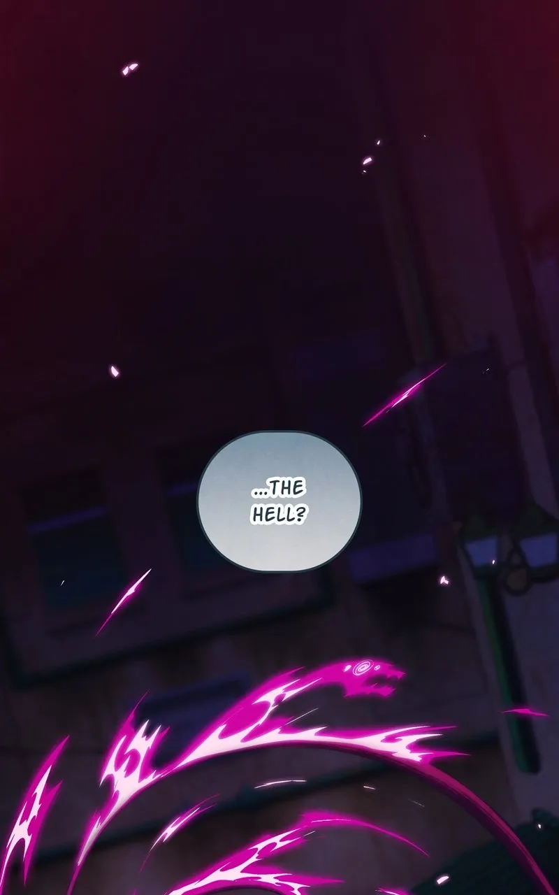 City of Blank Chapter 66 page 25 - 