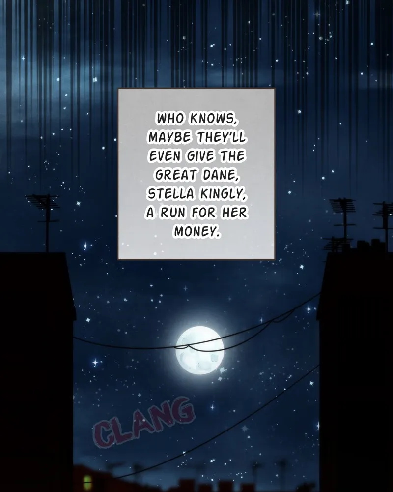City of Blank Chapter 67 page 28 - 