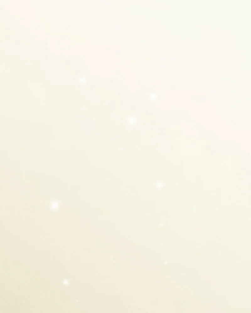 City of Blank Chapter 68 page 2 - 