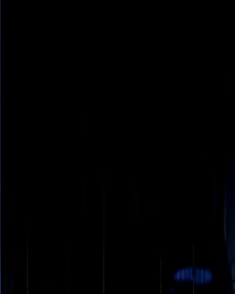 City of Blank Chapter 68 page 115 - 
