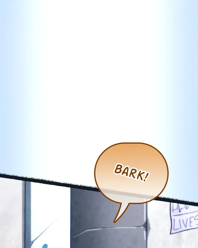 City of Blank Chapter 68 page 41 - 