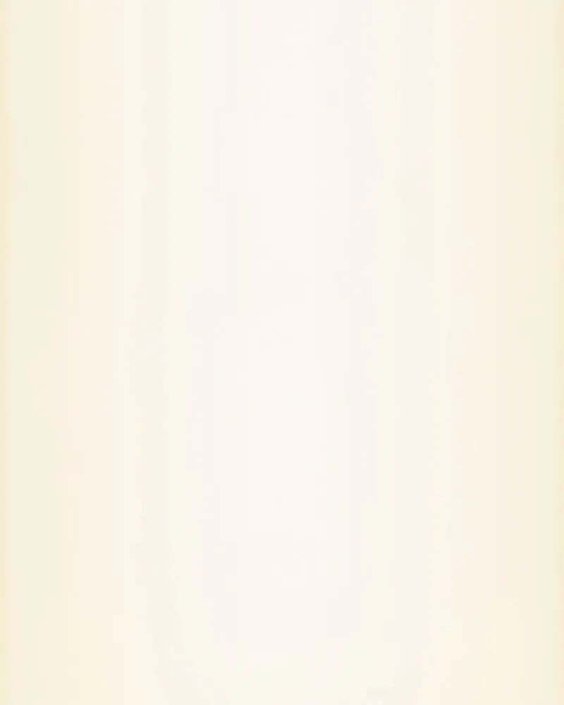 City of Blank Chapter 69 page 13 - 