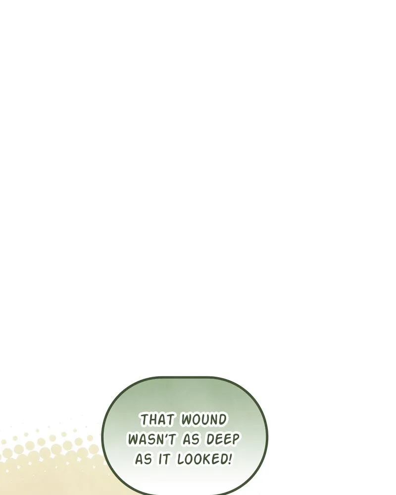 City of Blank Chapter 73 page 95 - 