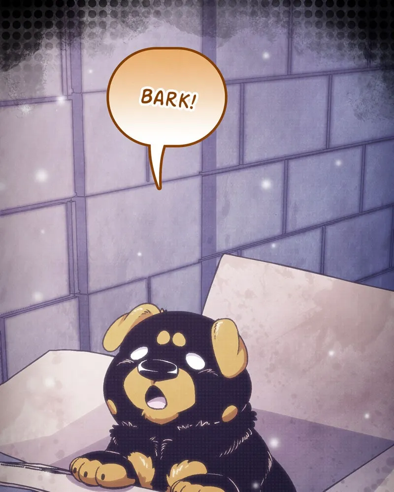 City of Blank Chapter 75 page 132 - 