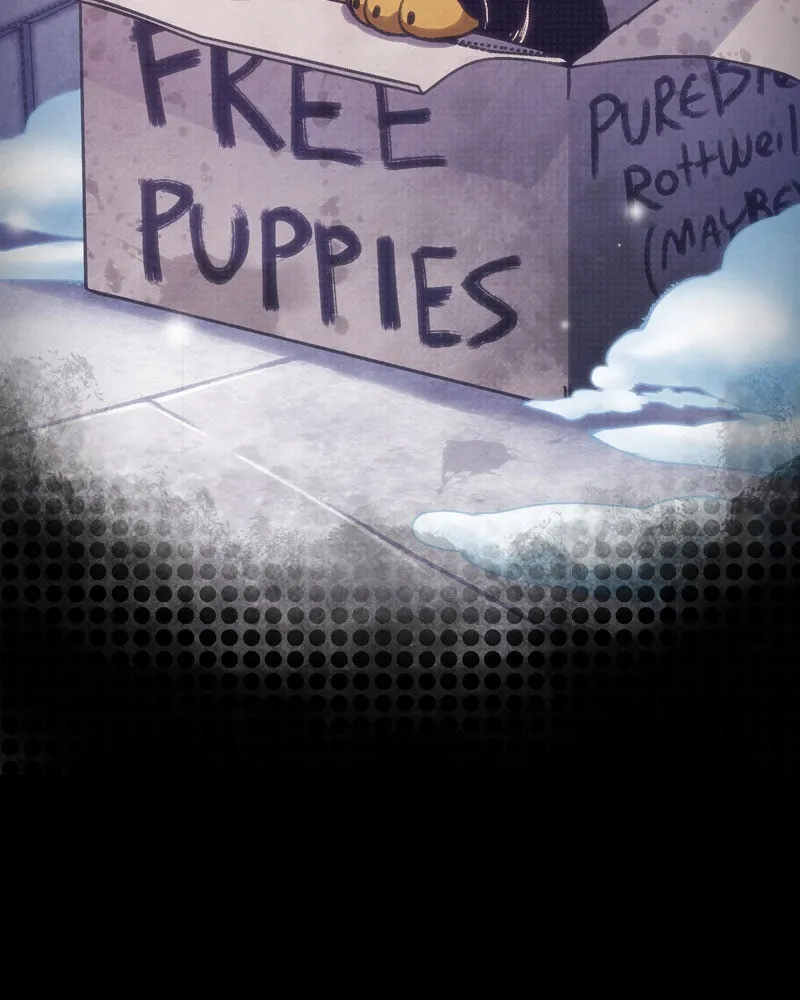 City of Blank Chapter 75 page 133 - 