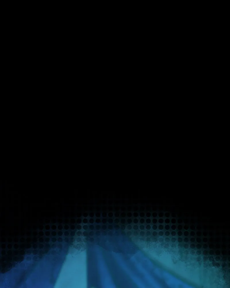 City of Blank Chapter 75 page 200 - 