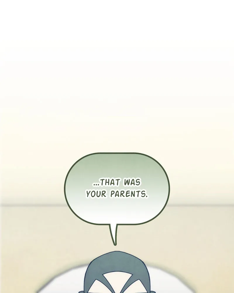City of Blank Chapter 81 page 132 - 
