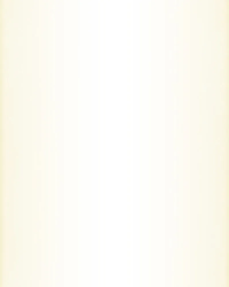 City of Blank Chapter 81 page 95 - 