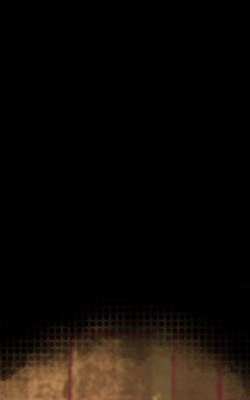 City of Blank Chapter 87 page 102 - 