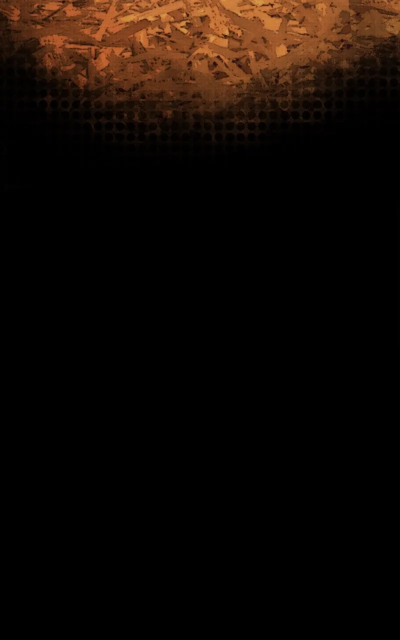 City of Blank Chapter 88 page 21 - 