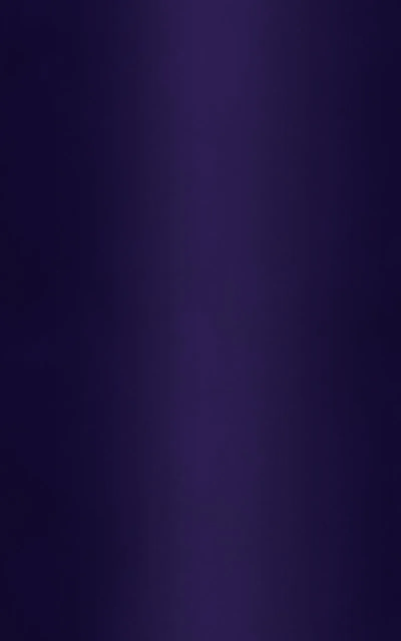 City of Blank Chapter 90 page 53 - 