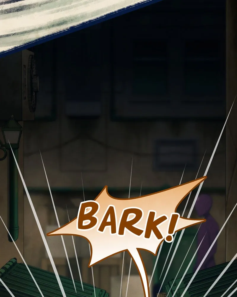 City of Blank Chapter 91 page 116 - 
