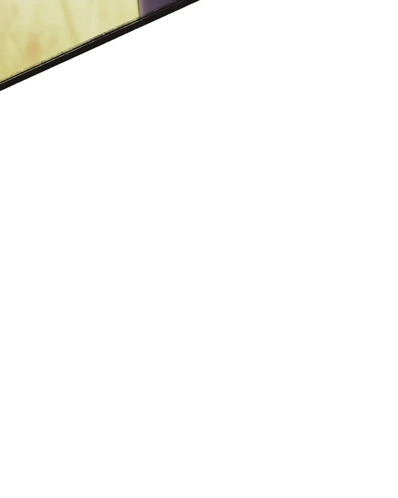 City of Blank Chapter 94 page 66 - 
