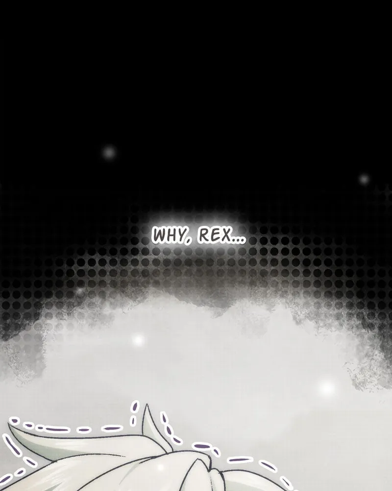 City of Blank Chapter 95 page 114 - 