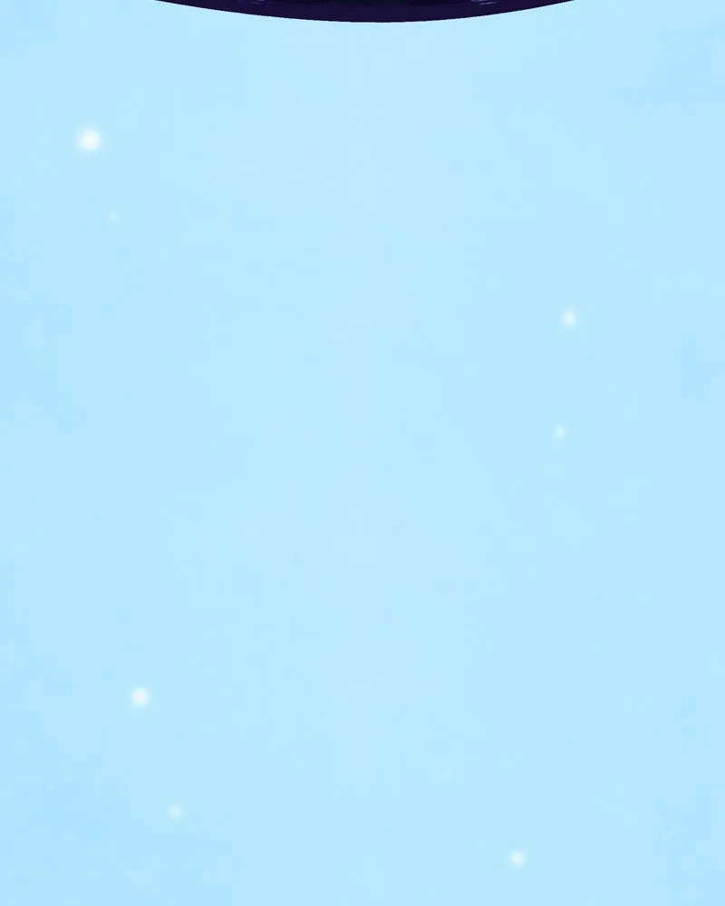 City of Blank Chapter 95 page 145 - 