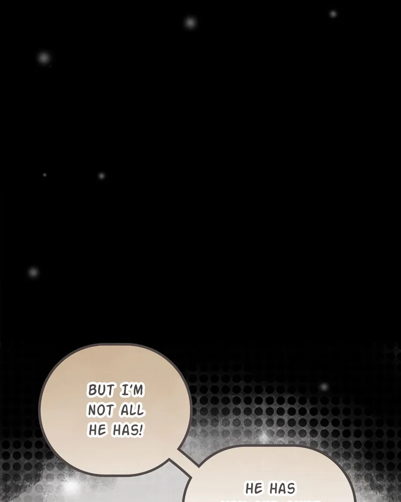 City of Blank Chapter 95 page 47 - 