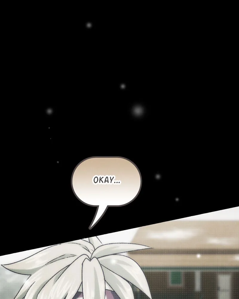 City of Blank Chapter 95 page 52 - 