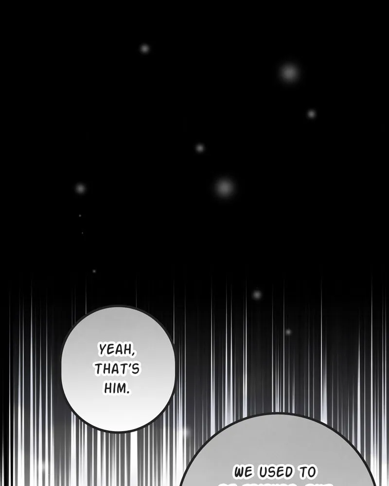 City of Blank Chapter 95 page 98 - 
