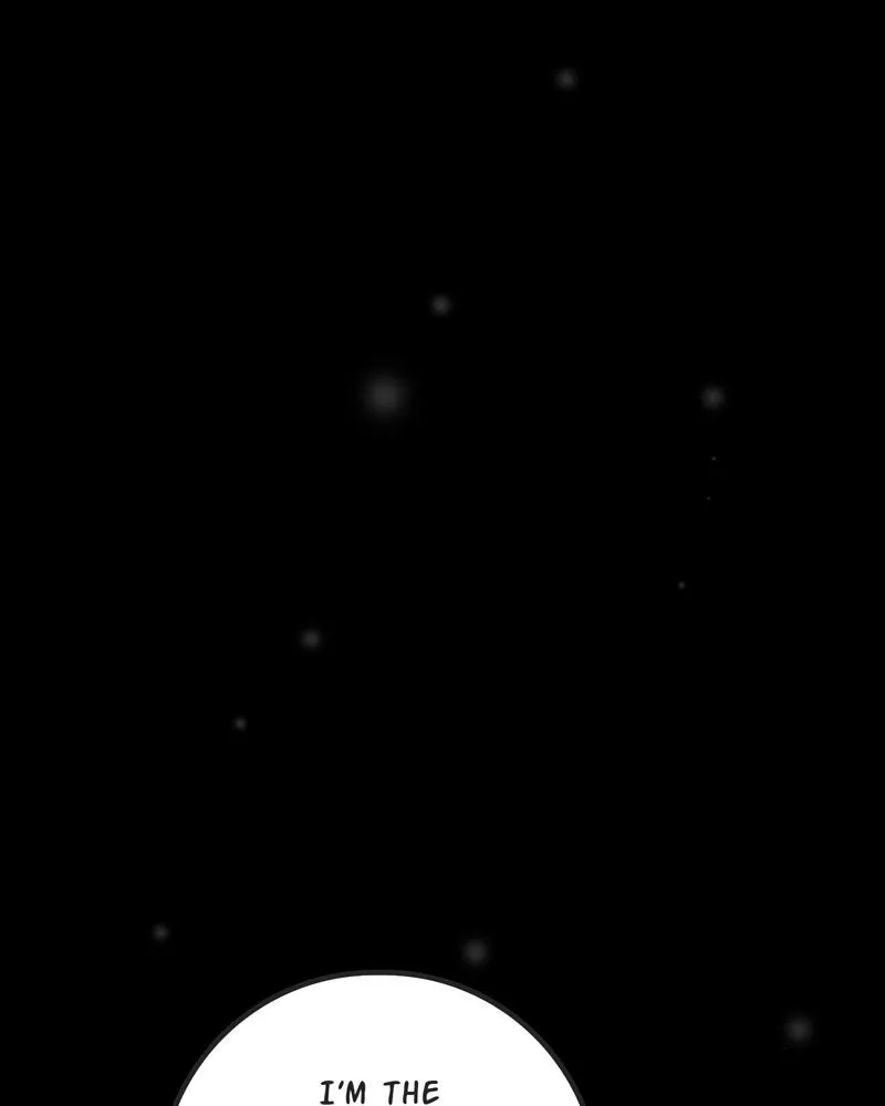 City of Blank Chapter 97 page 35 - 