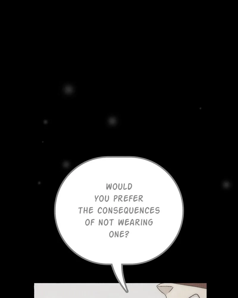 City of Blank Chapter 97 page 38 - 