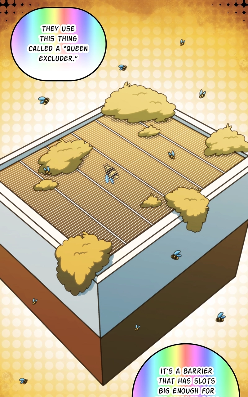 City of Zak Chapter 181 page 61 - 