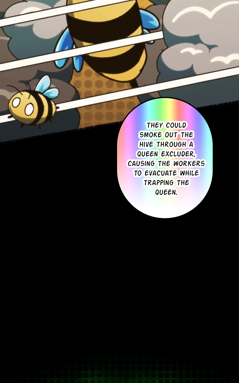 City of Zak Chapter 181 page 63 - 