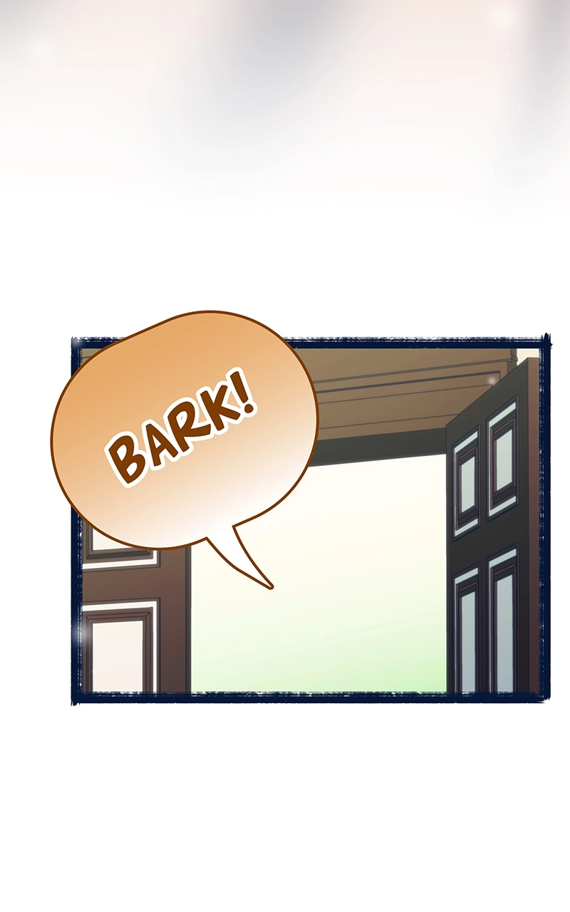 City of Zak Chapter 192 page 14 - 