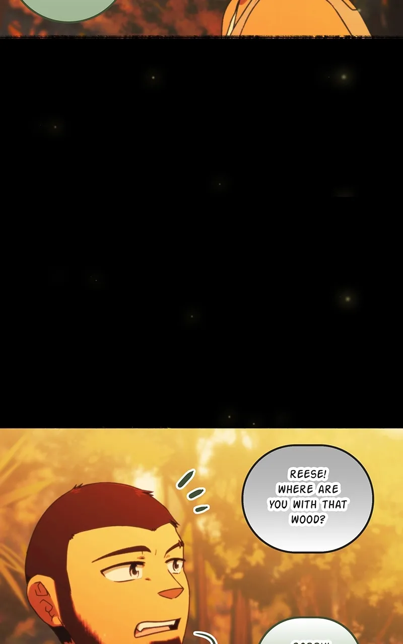 City of Zak Chapter 194 page 40 - 