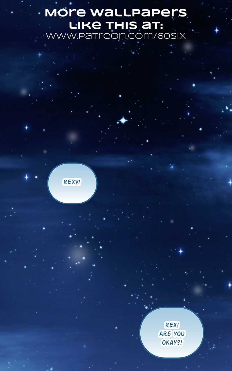 City of Zak Chapter 202 page 2 - 