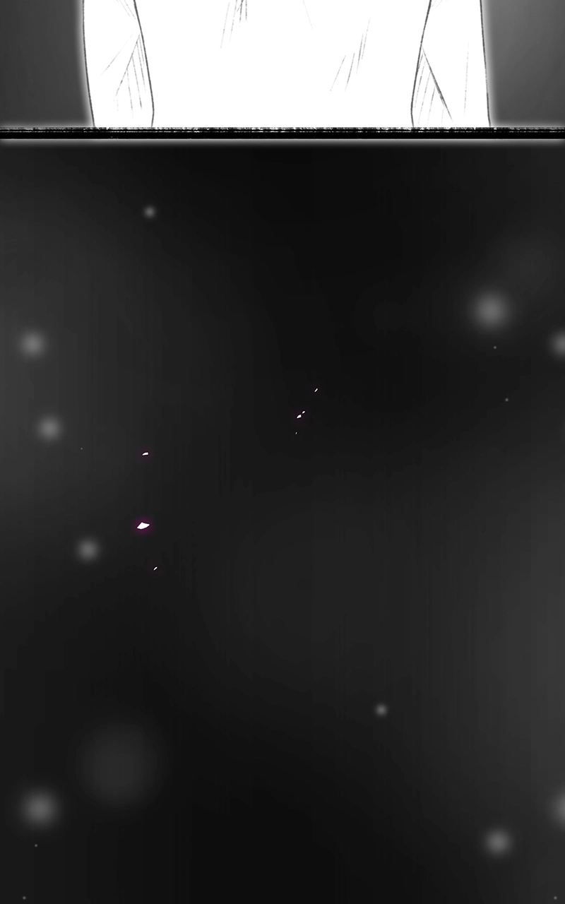 City of Zak Chapter 202 page 65 - 