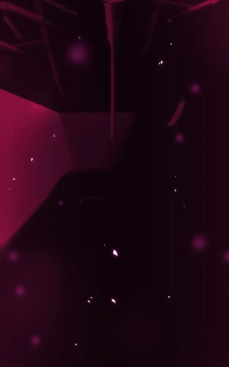 City of Zak Chapter 203 page 17 - 