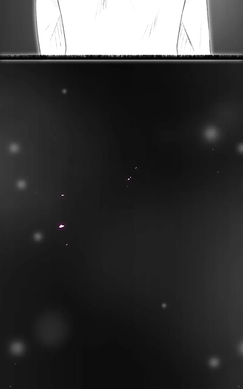City of Zak Chapter 203 page 65 - 