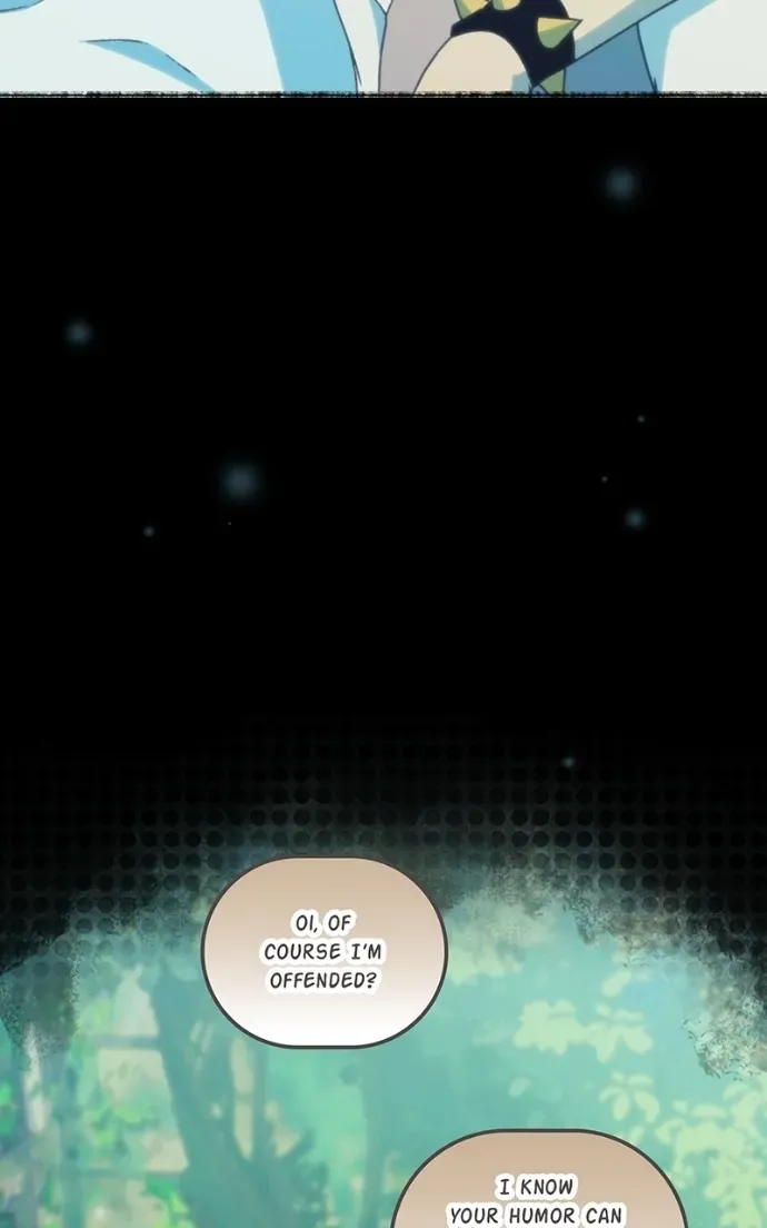 City of Zak Chapter 208 page 26 - 
