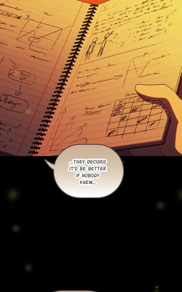 City of Zak Chapter 209 page 11 - 