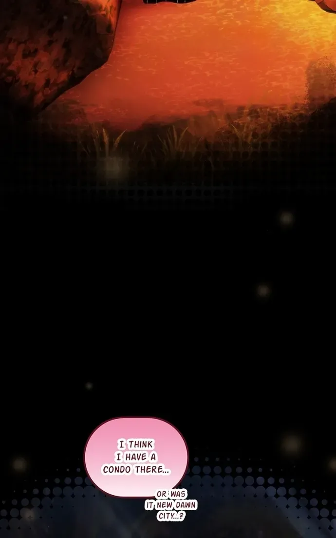 City of Zak Chapter 209 page 27 - 