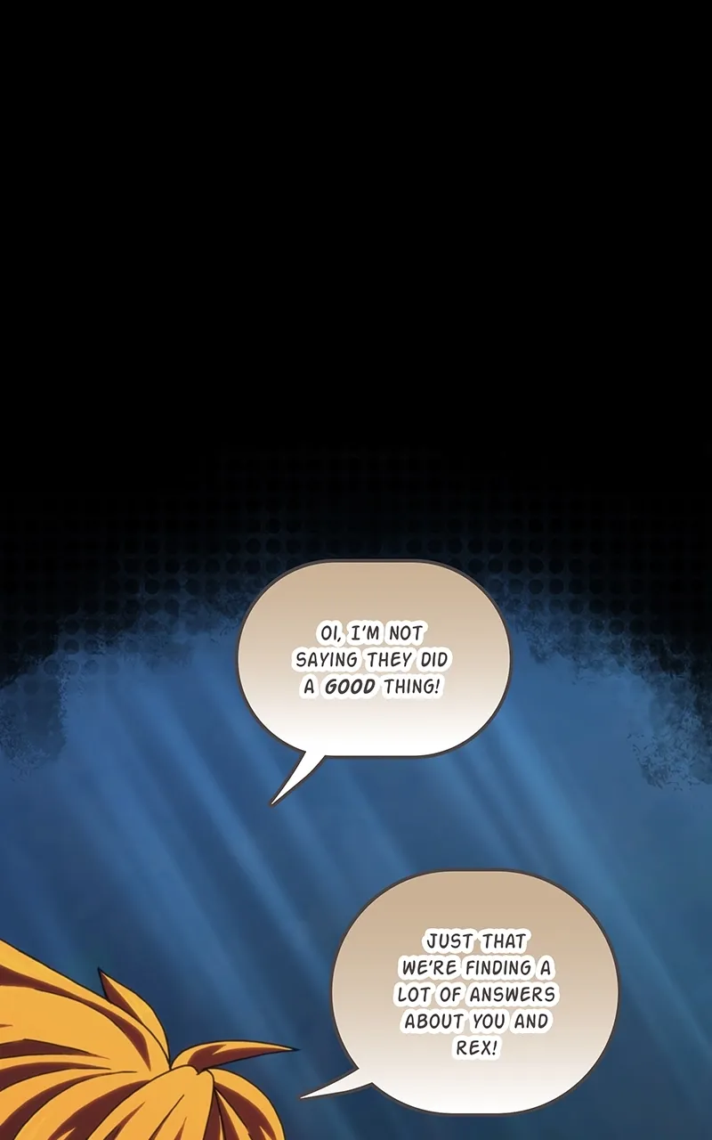 City of Zak Chapter 211 page 31 - 
