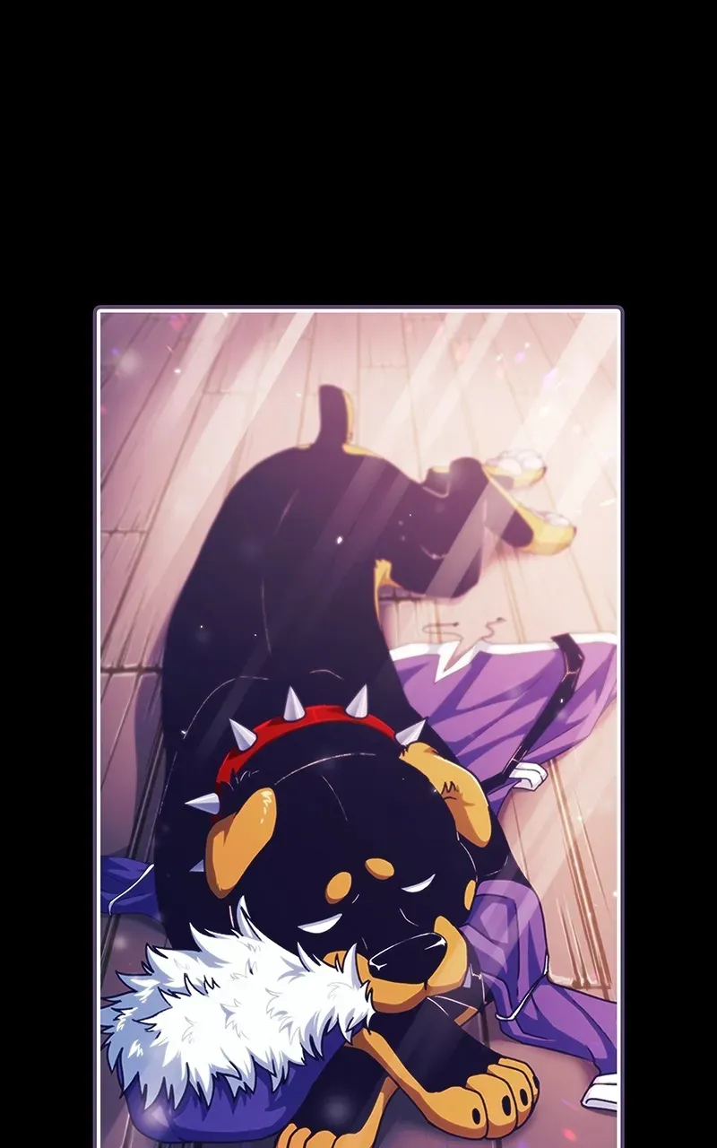 City of Zak Chapter 213 page 1 - 