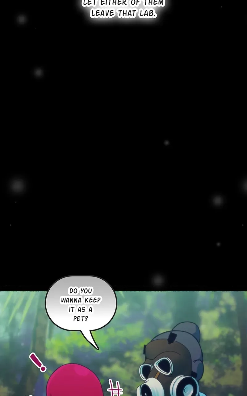 City of Zak Chapter 214 page 13 - 