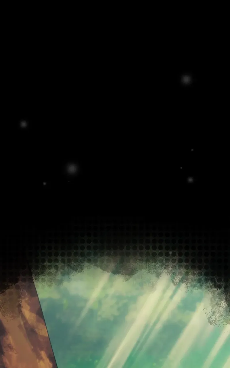 City of Zak Chapter 214 page 23 - 