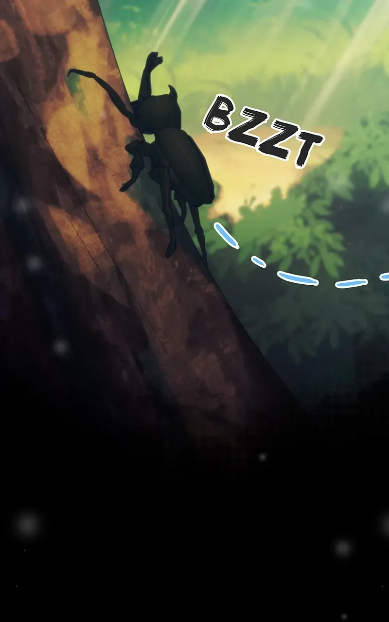 City of Zak Chapter 214 page 24 - 