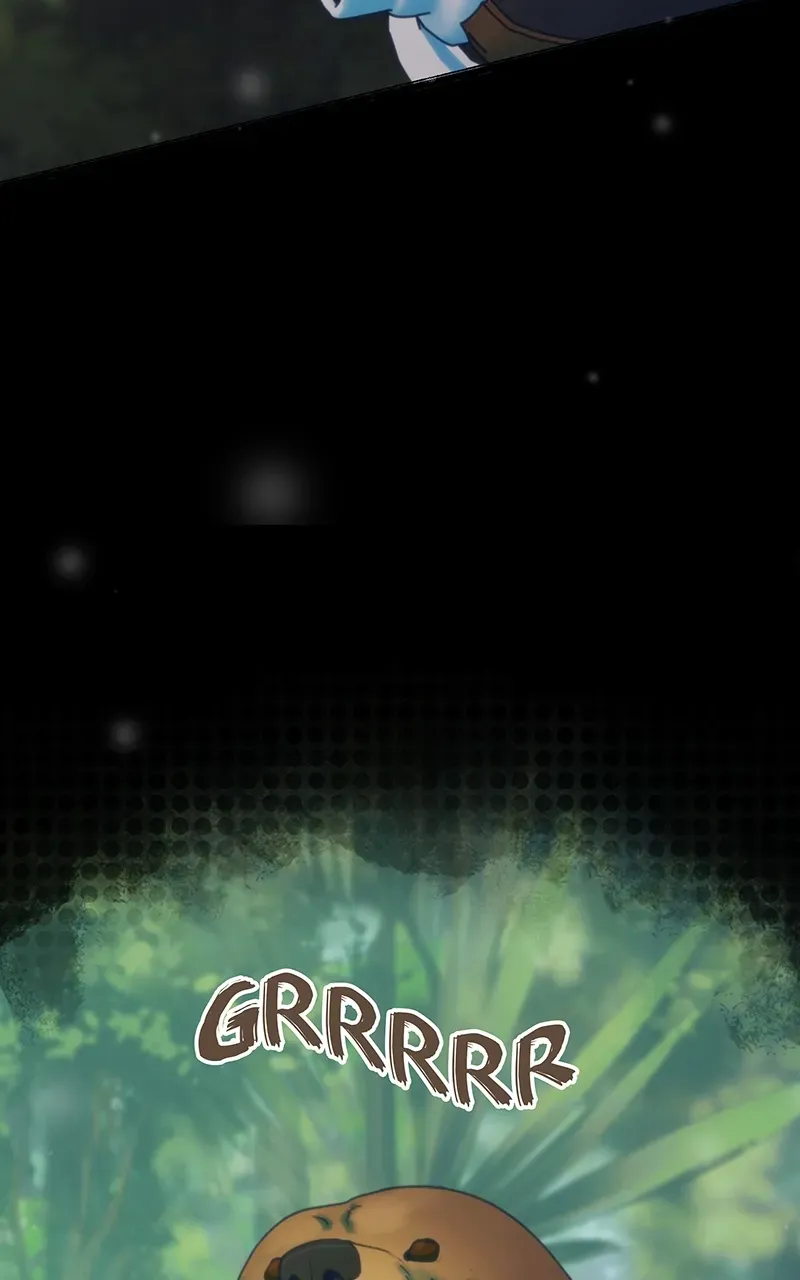 City of Zak Chapter 214 page 28 - 