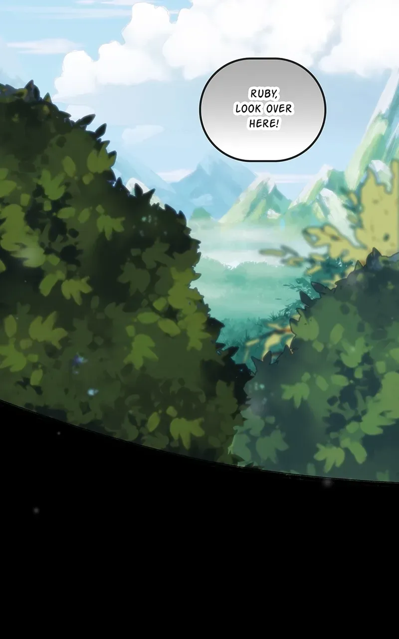 City of Zak Chapter 214 page 4 - 