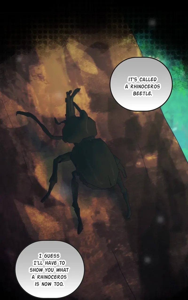 City of Zak Chapter 214 page 5 - 