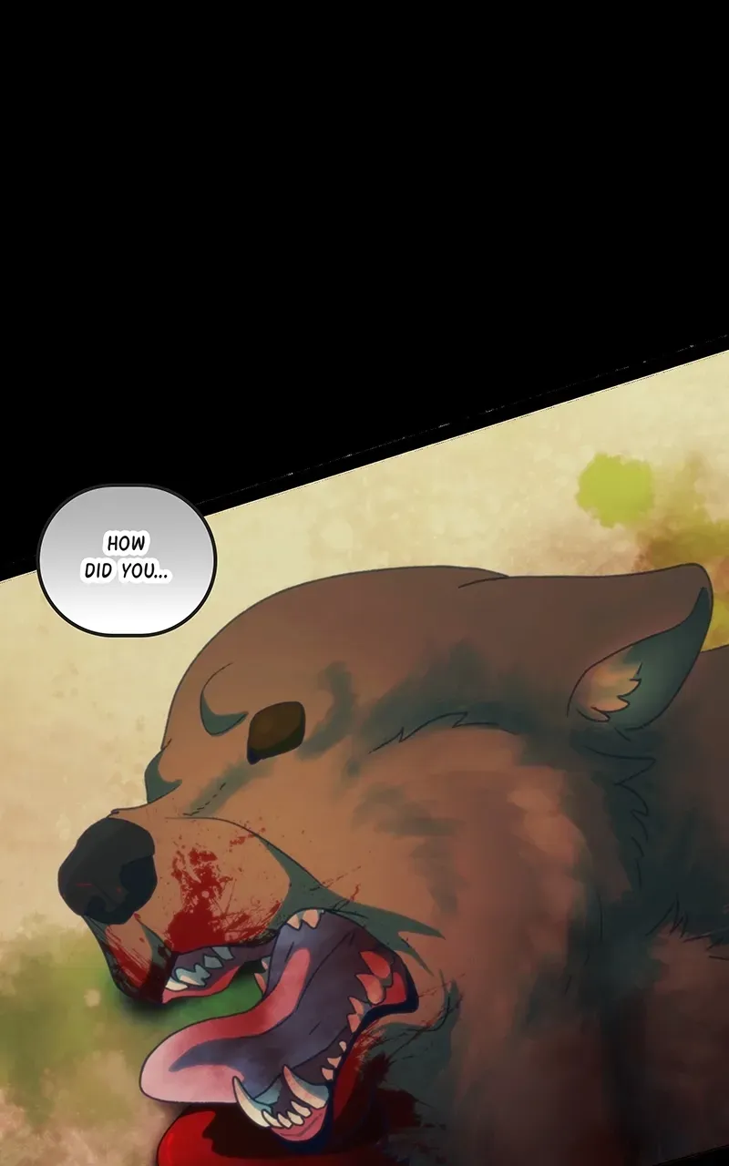 City of Zak Chapter 214 page 44 - 