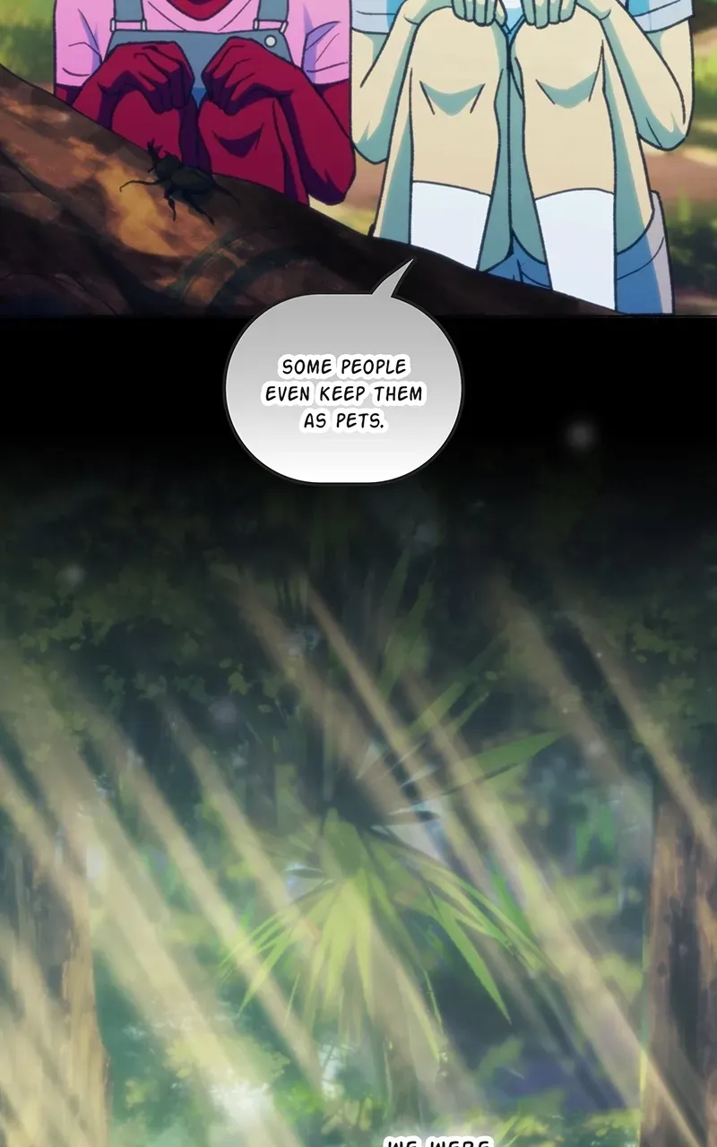 City of Zak Chapter 214 page 7 - 